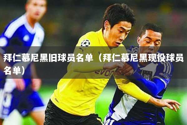 拜仁慕尼黑旧球员名单(拜仁慕尼黑现役球员名单)